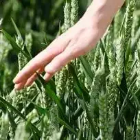 keep your hands pain free!