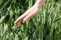 keep your hands pain free!