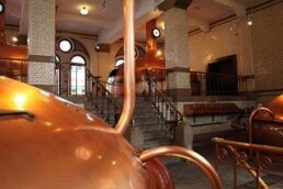 Brewing Byproduct Assists Bone Regeneration