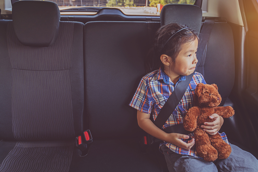 Seatbelt Road Safety