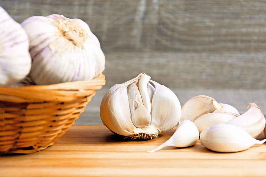 garlic immune system boost